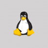 Instalación de distribución Linux